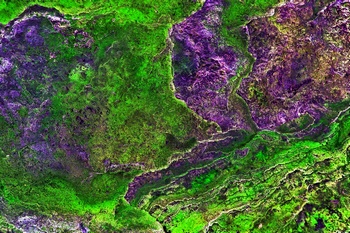 A 37B
